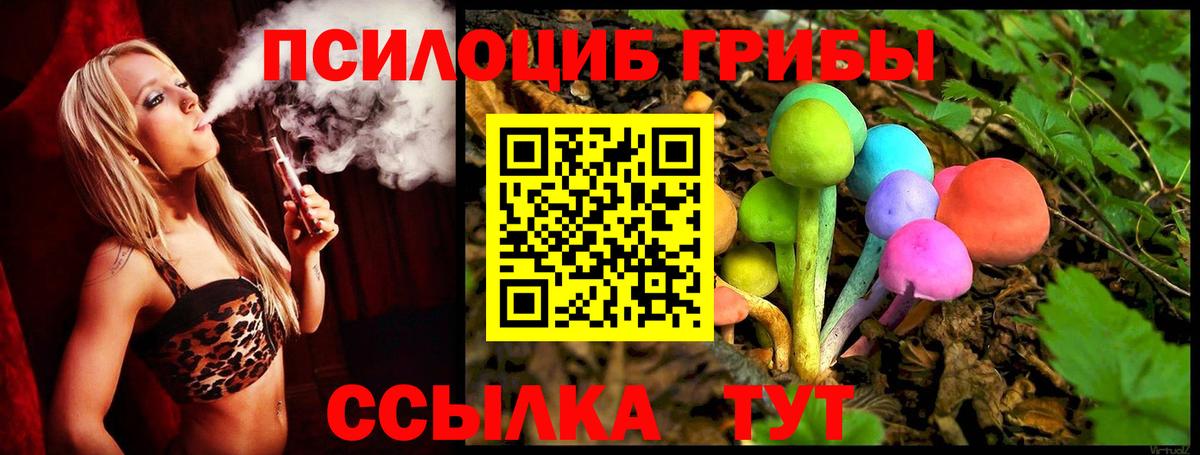 Псилоцибиновые грибы мицелий  Вход с VPN  Озёрск 